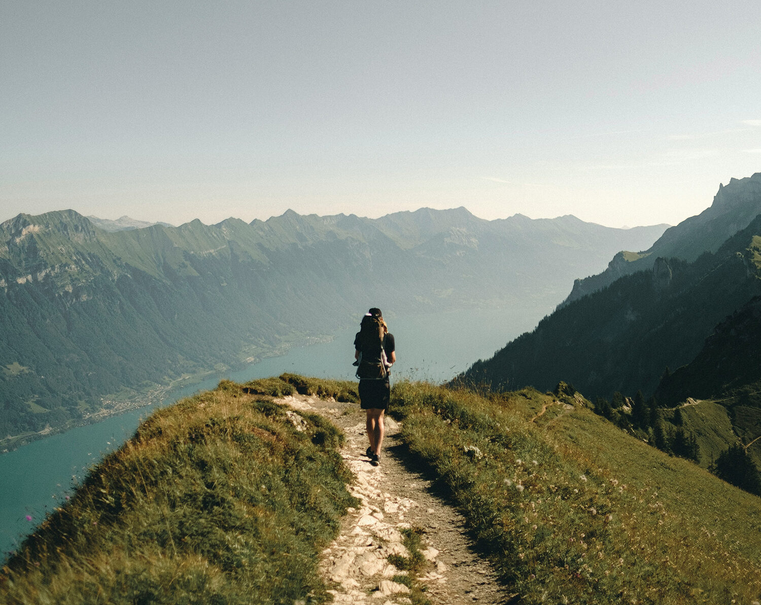 joel-jasmin-forestbird-znoL1m6MD_k-unsplash