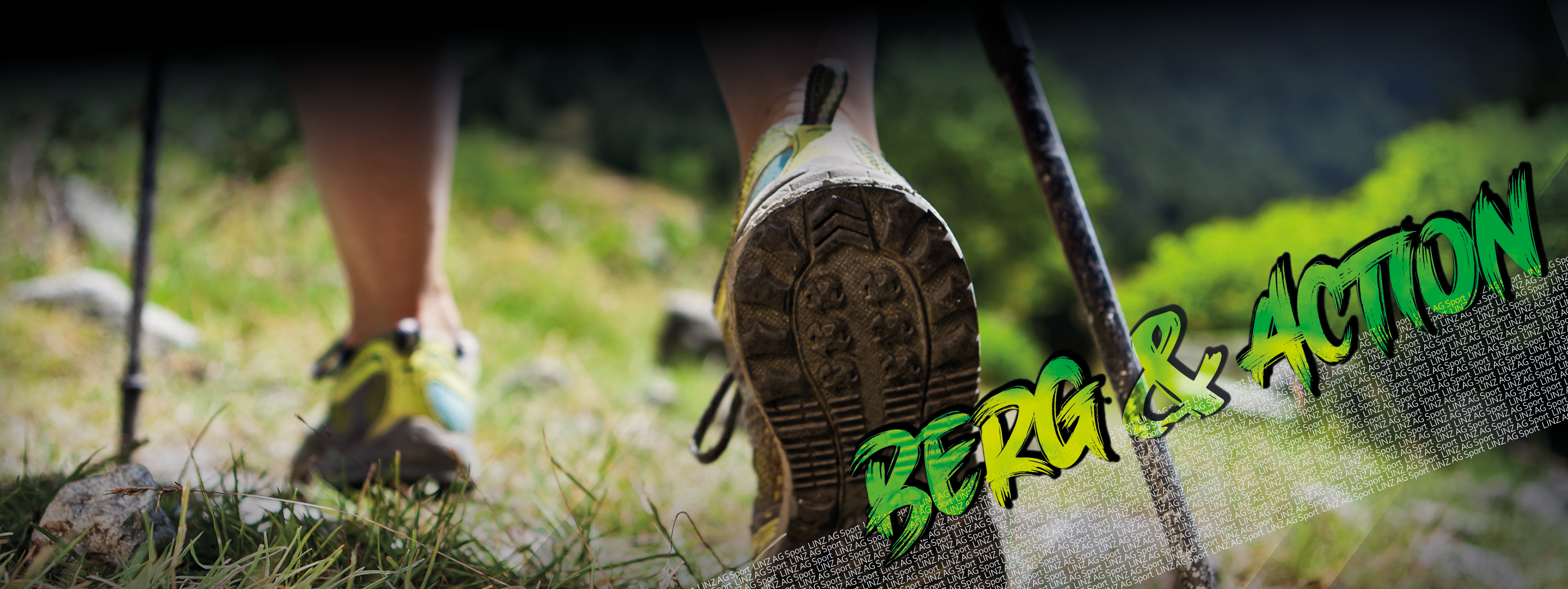 bg-website-bergaction