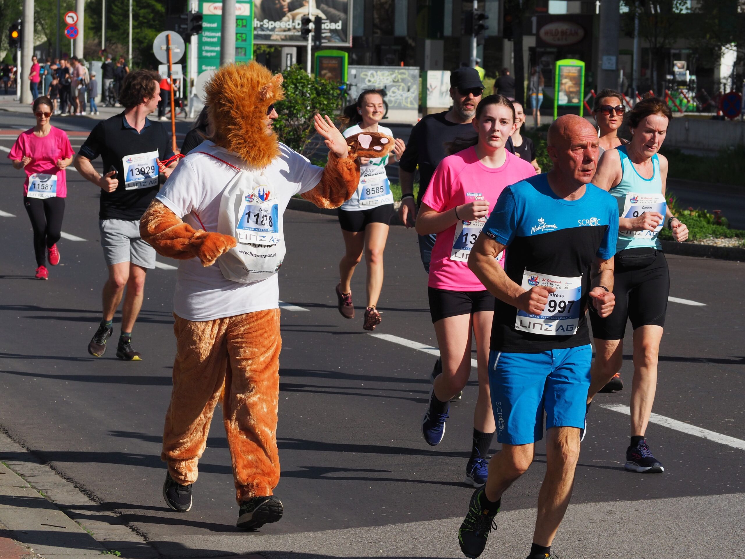 OLYMPUS DIGITAL CAMERA